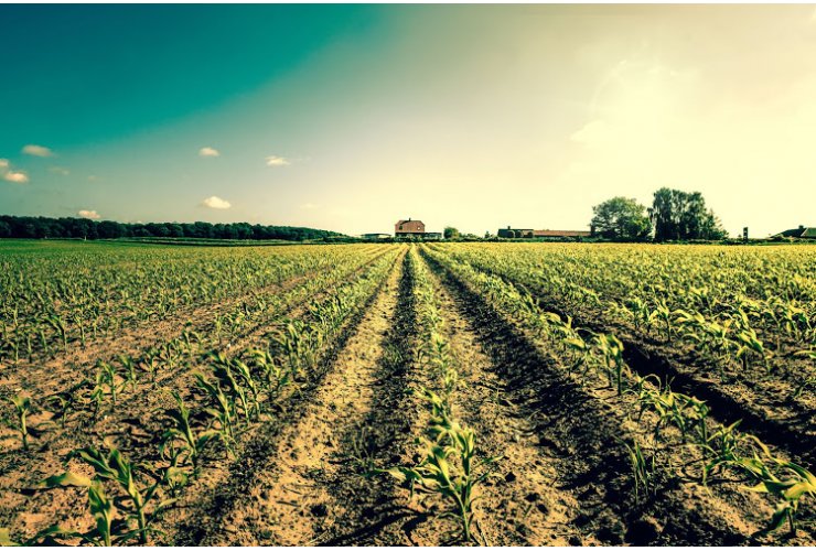 support agriculture-based investments in the Turkish Cypriot community.