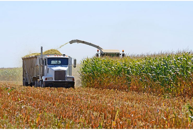Agricultural projects