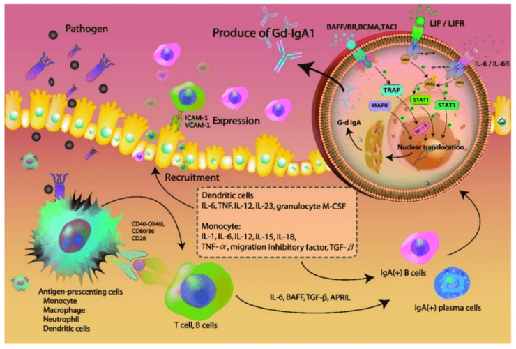 mechanism for activating