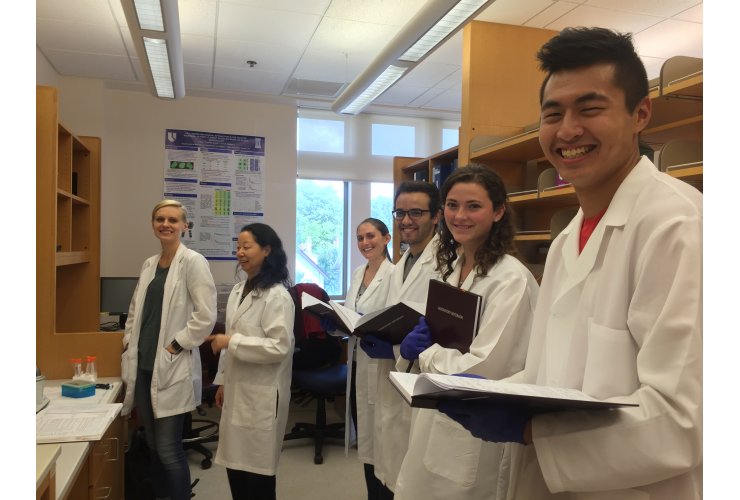 Nucleus and new laboratory