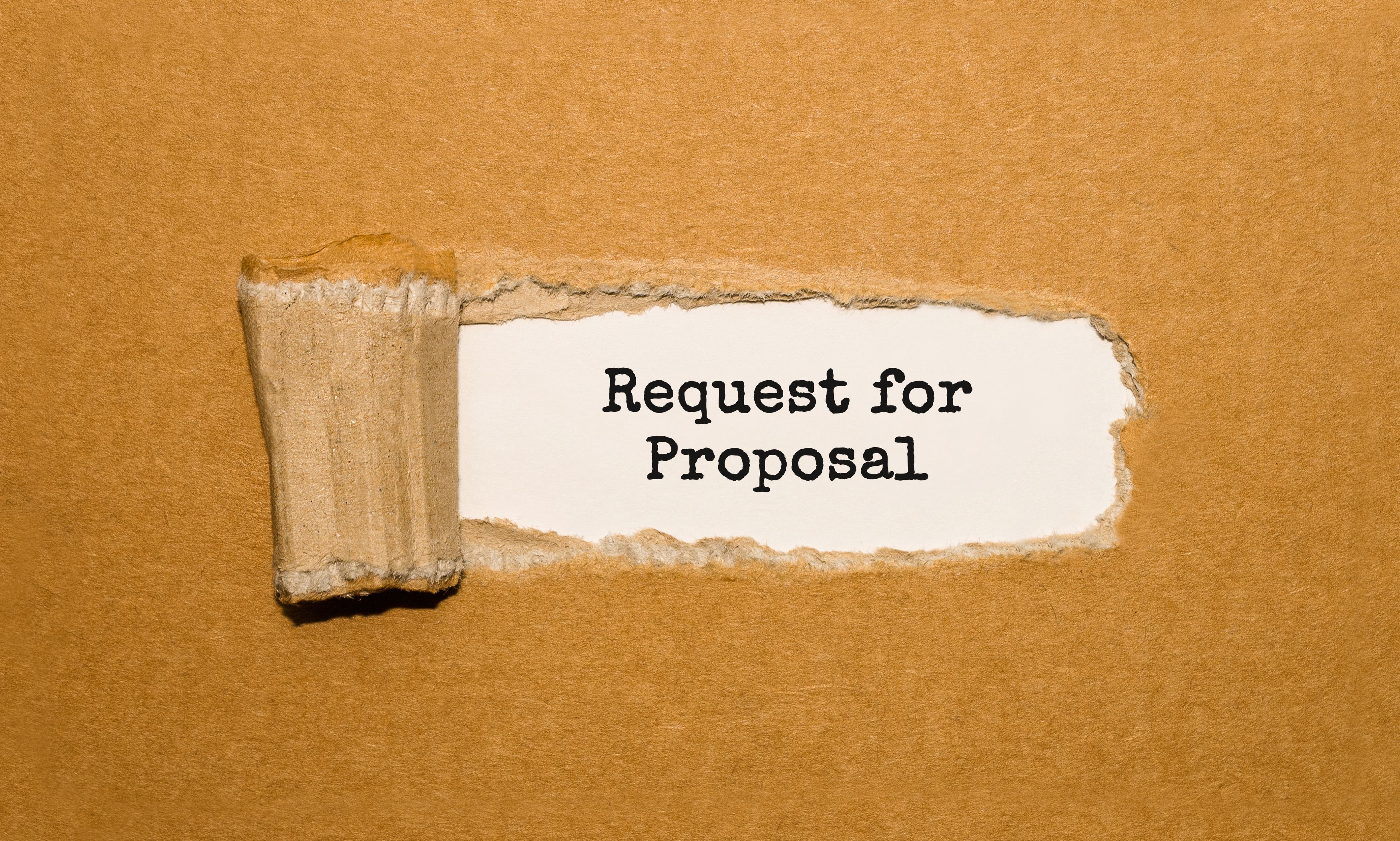 Understanding RFP Definition and its Contents